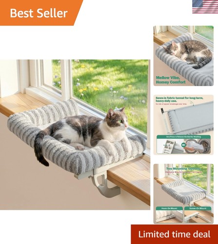 Sided gray cat - gray, perch
